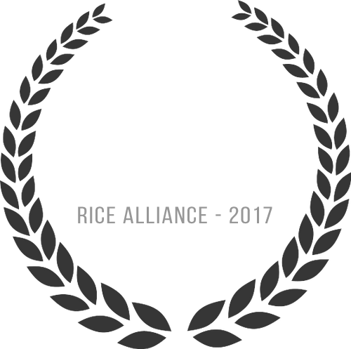 Luminare Awarded as Most Promising Web & IT Company by Rice Alliance in 2017